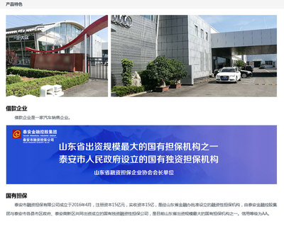 國有擔保-汽車銷售企業借款180天01期