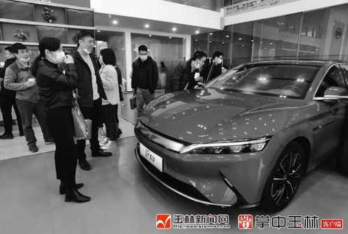 玉林市民購車有新選擇